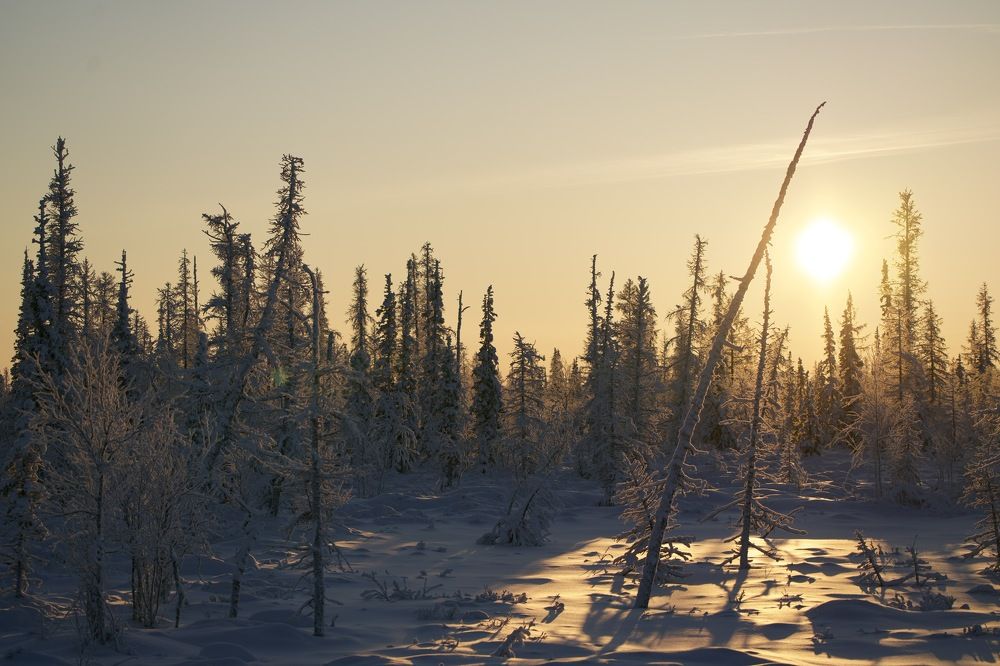 Фотография автора Виктория Ким