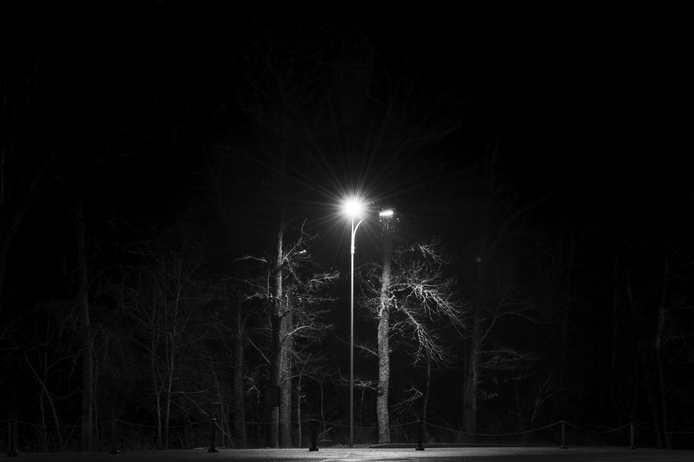 Фотография автора Сергей Затямин