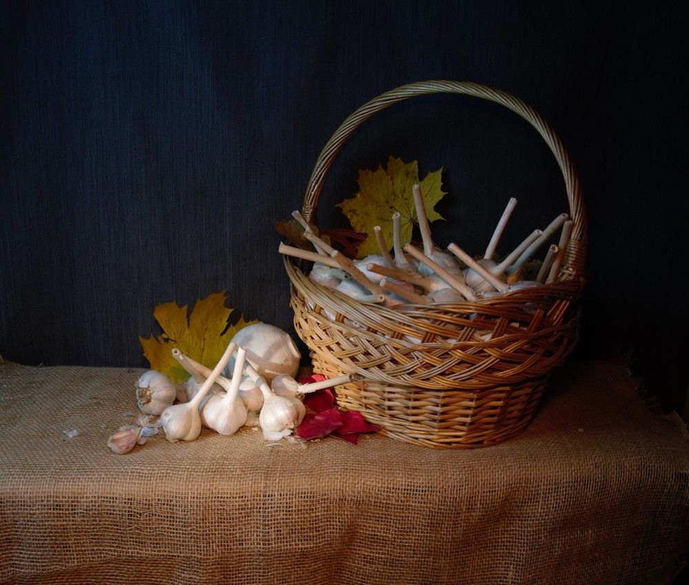 Photograph by Natalia Rassokhina