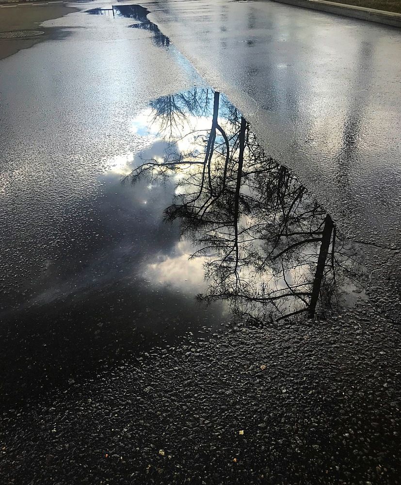 Один, глядя в лужу, видит в ней грязь, а другой — отражающиеся в ней звезды. Иммануил Кант.