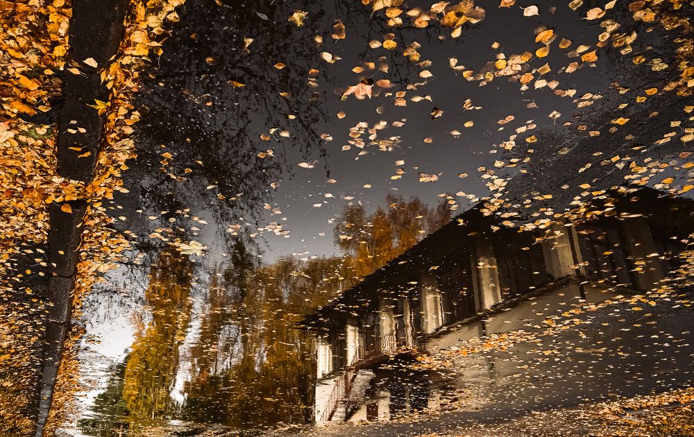 Photograph by Ольга Кудина