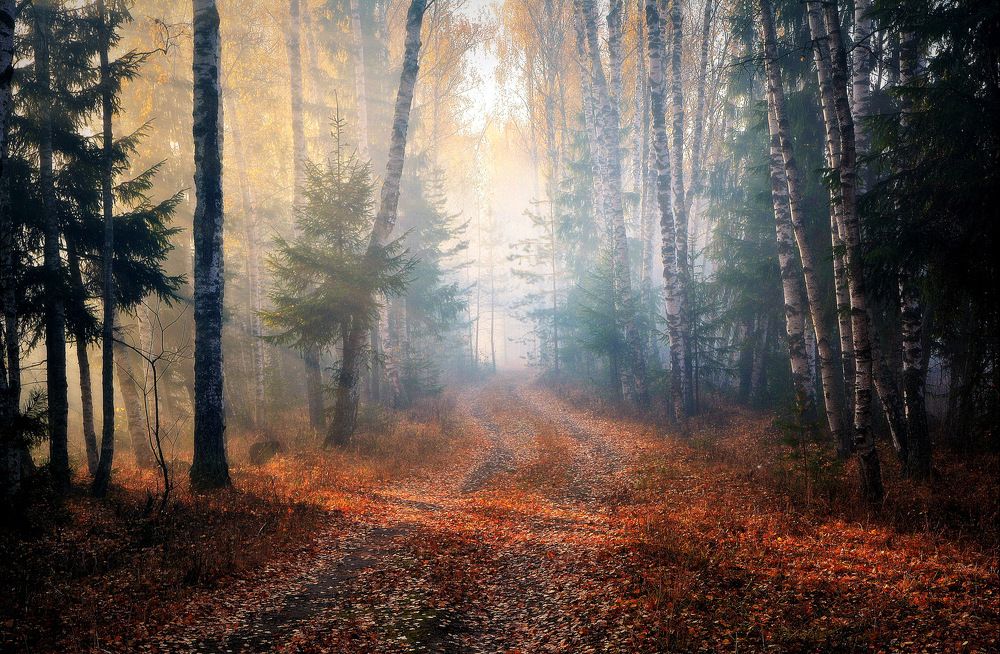 Photograph by Сергей Алексеев