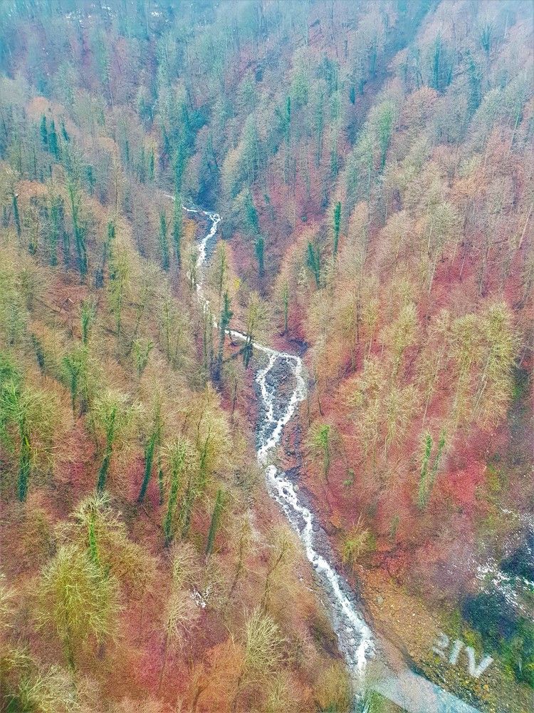 Photograph by Marie G