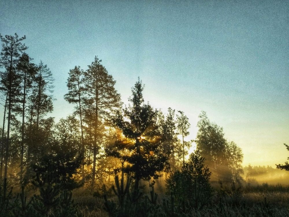 Photograph by Олег Ниделков