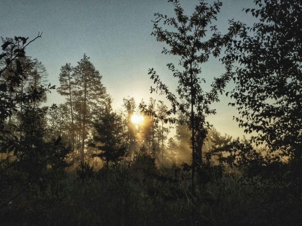 Photograph by Олег Ниделков