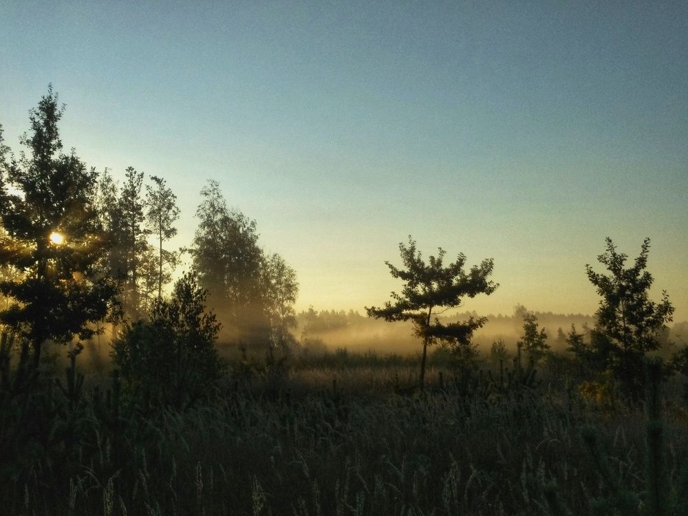 Photograph by Олег Ниделков