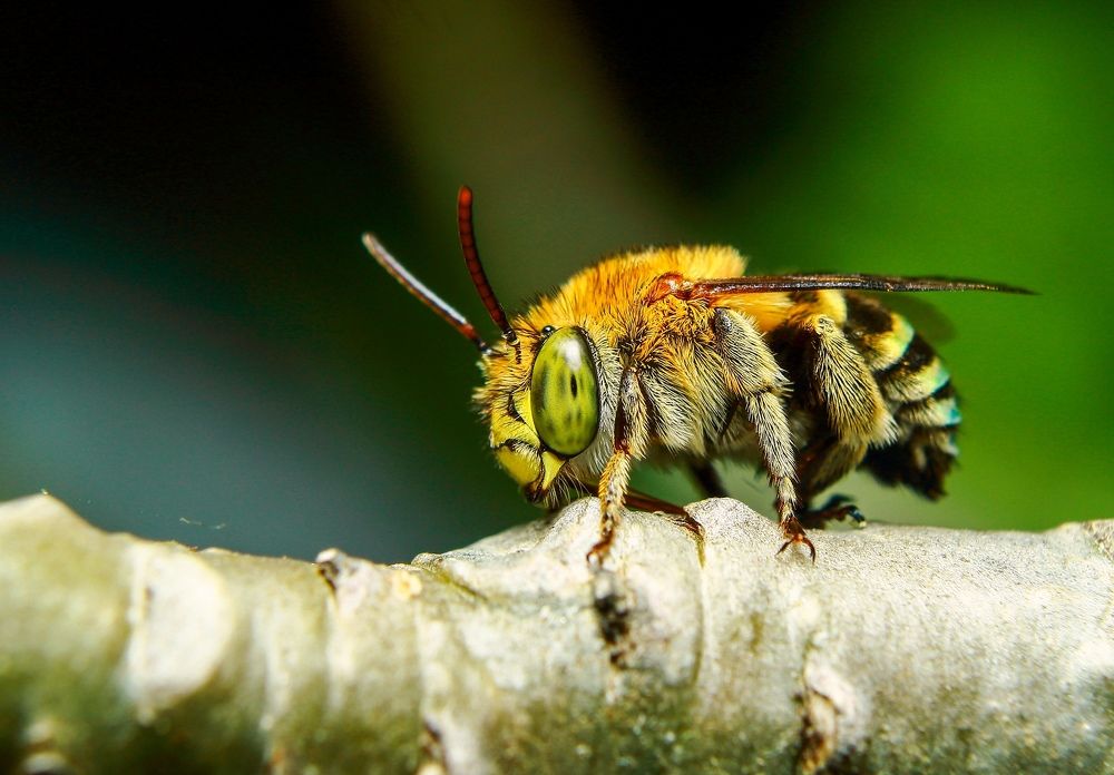 Photograph by Yusuf Buchari