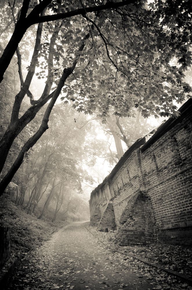 Photograph by Ольга Александрова