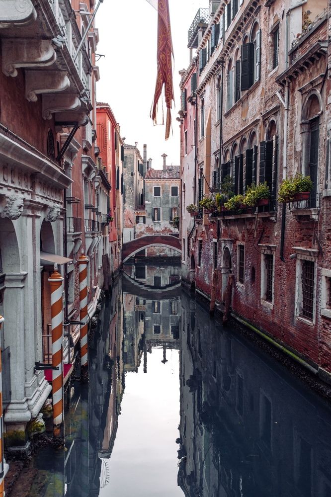 Photograph by Анастасия Голубева