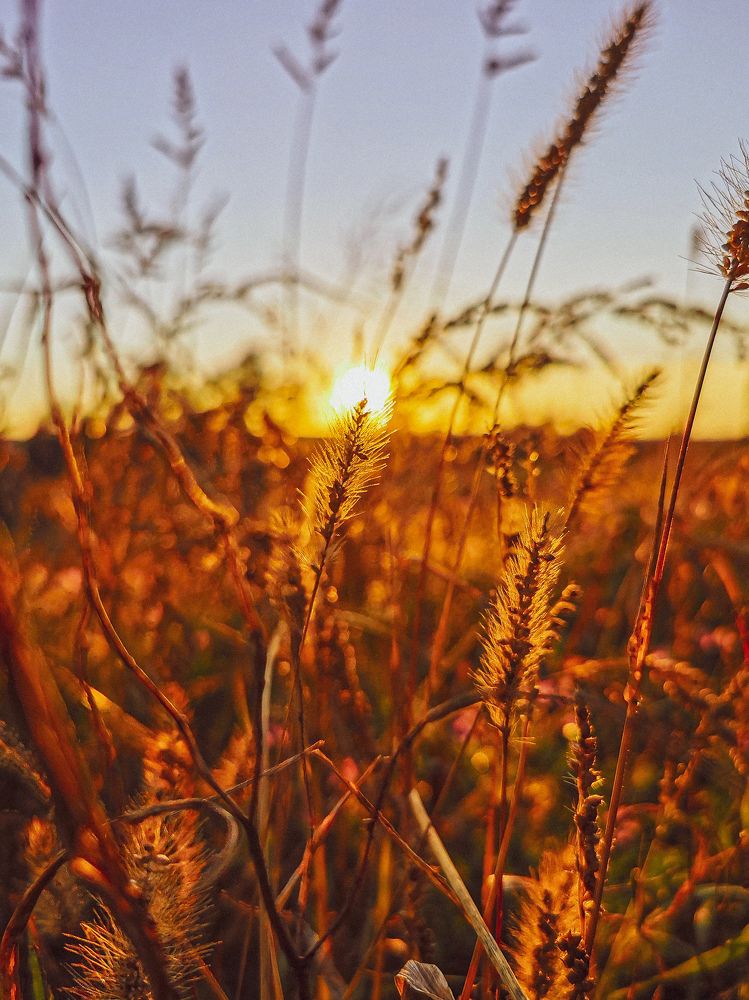 Photograph by Valensia Ludus