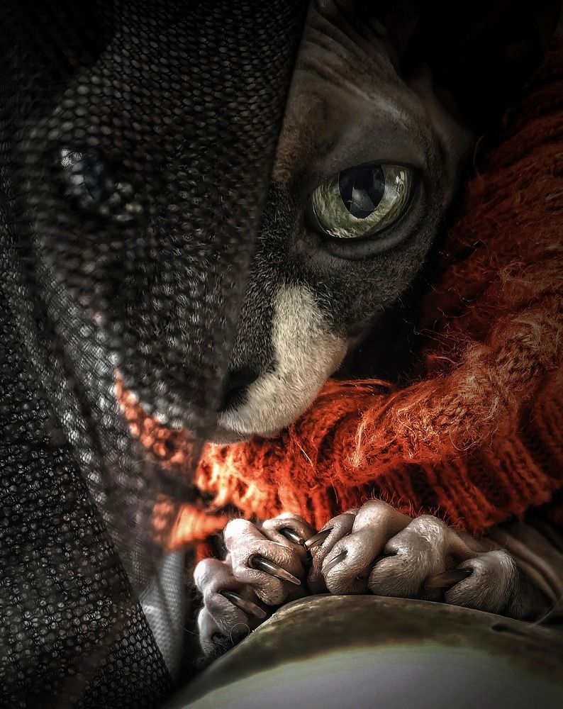 Photograph by Сергей