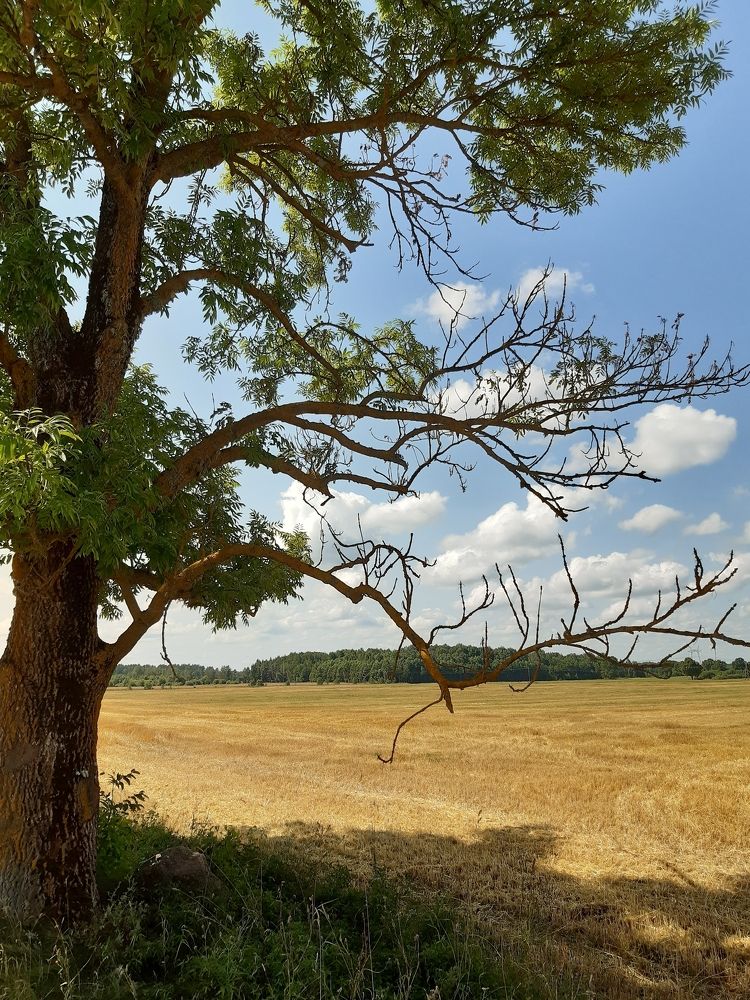 Photograph by Инесса