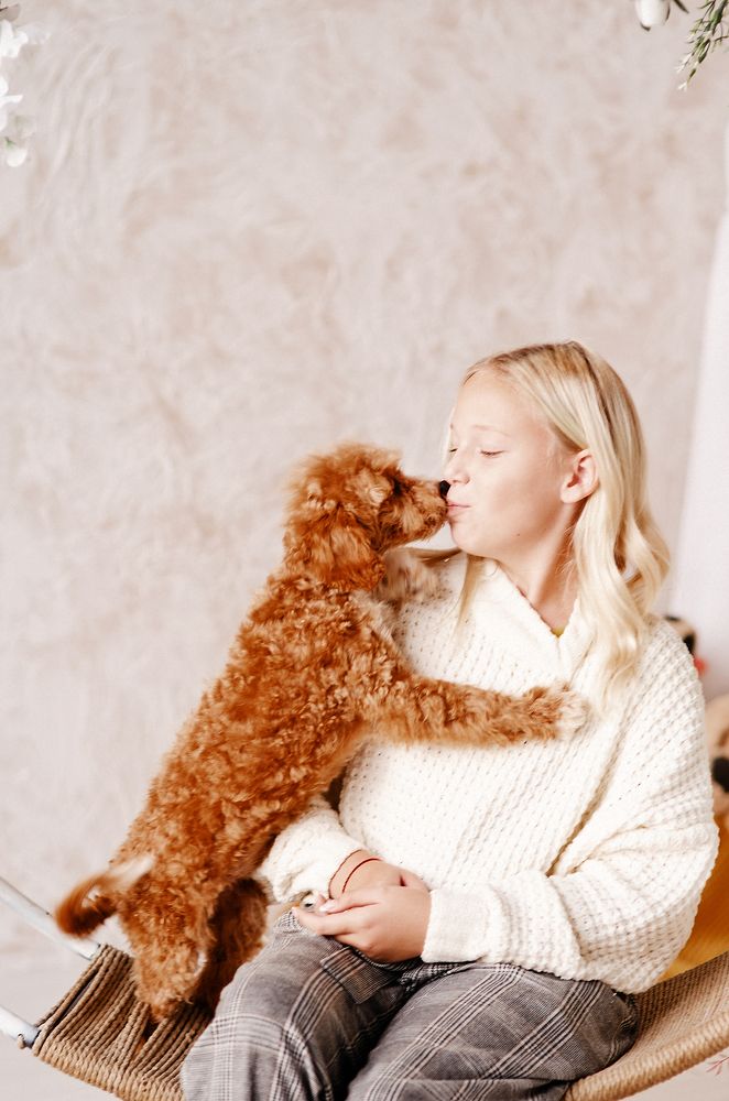 Photograph by Елена Гунько