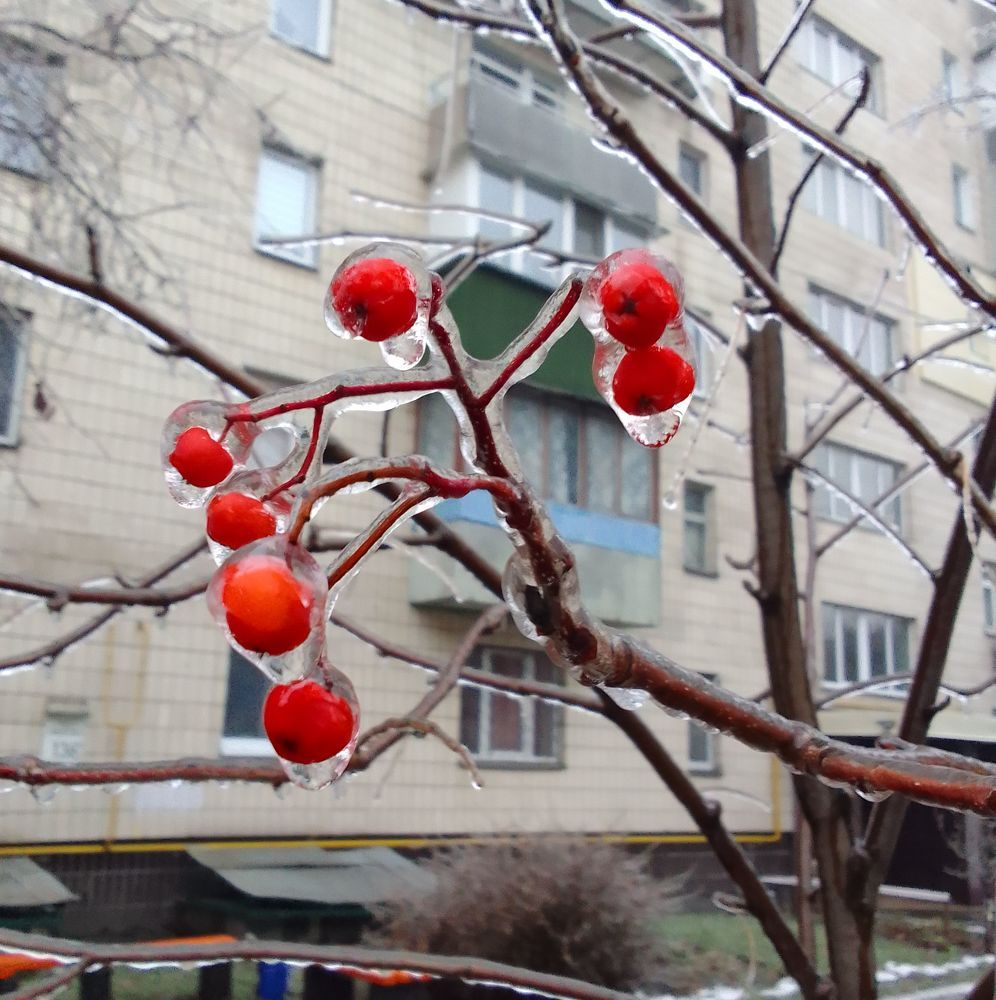 Photo #6855516