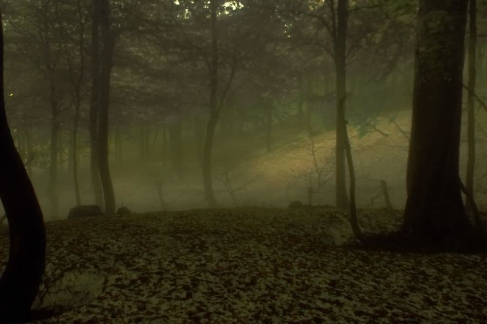 Photograph by Roman Popov