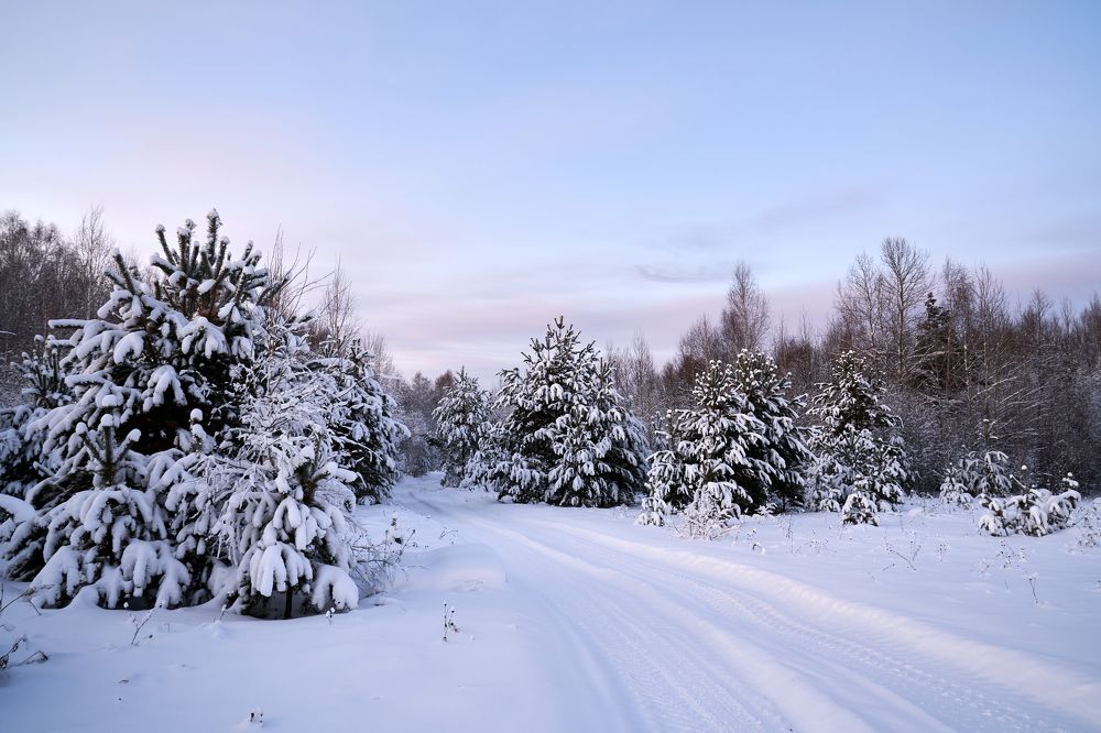 Photograph by Андрей Колеватов