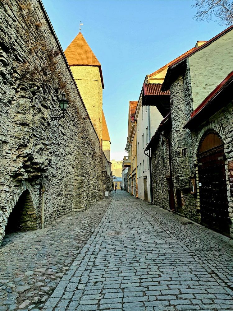 Фотография автора 