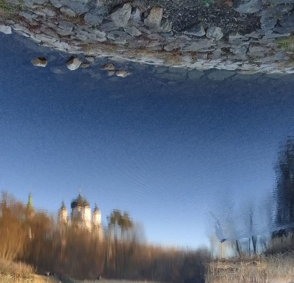 Photo #6855590