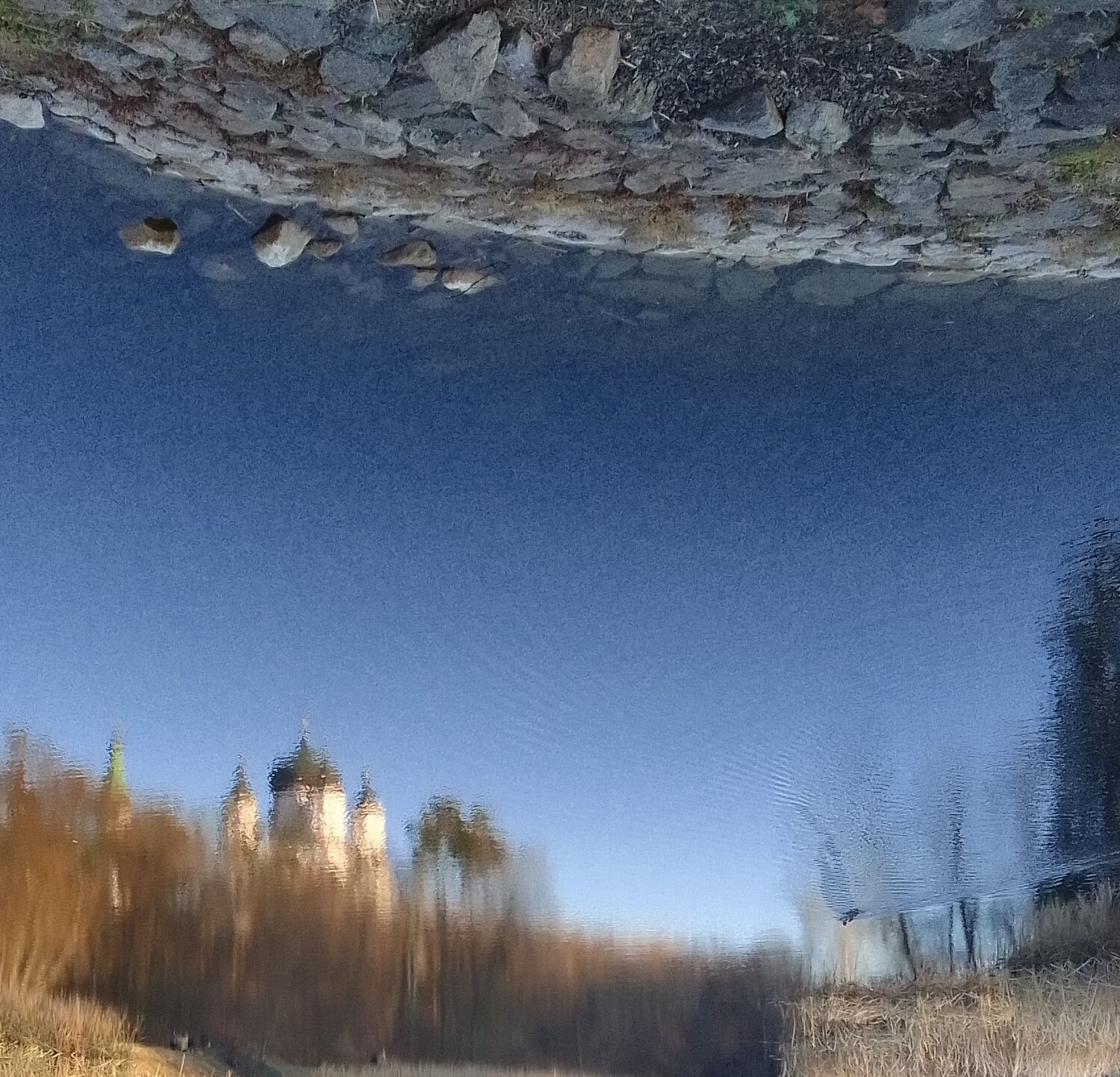 Photo #6855590