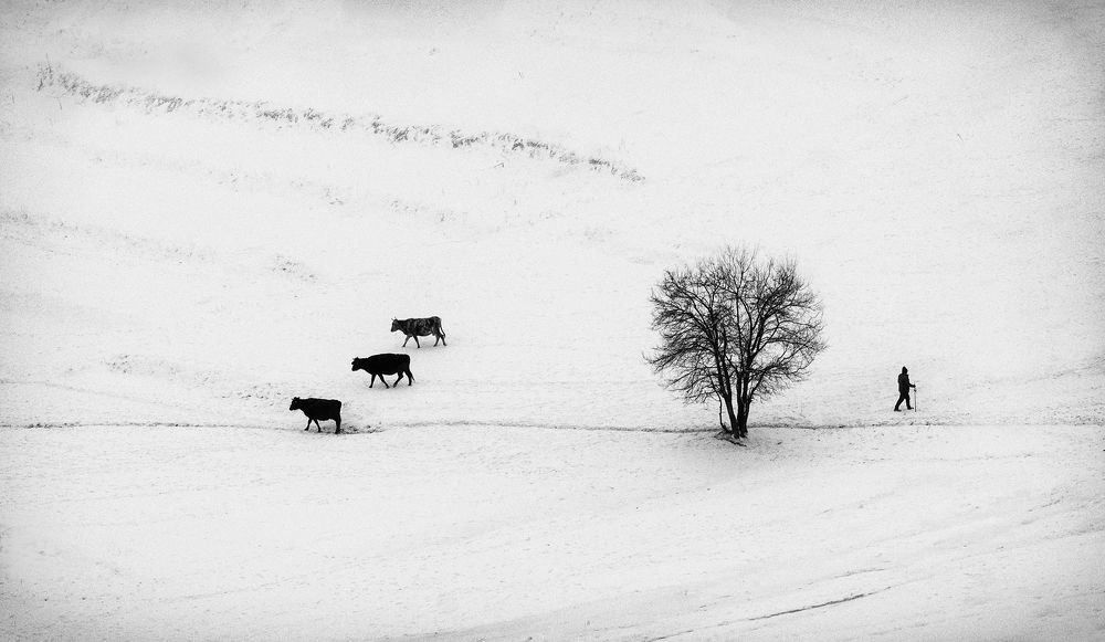 Photograph by Petya Lazarova