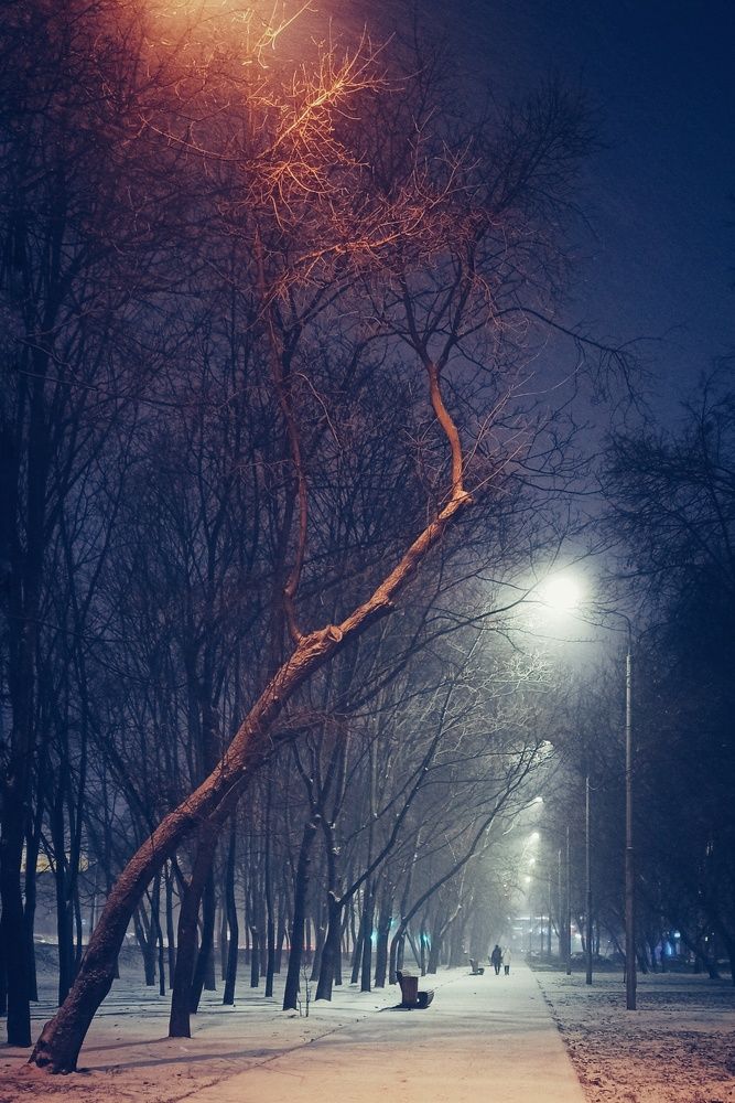 Photograph by Дарья Абрамова