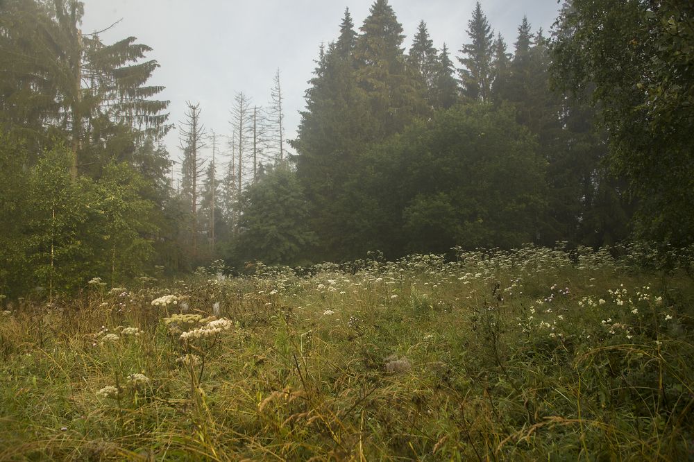 Photograph by Михаил Строев