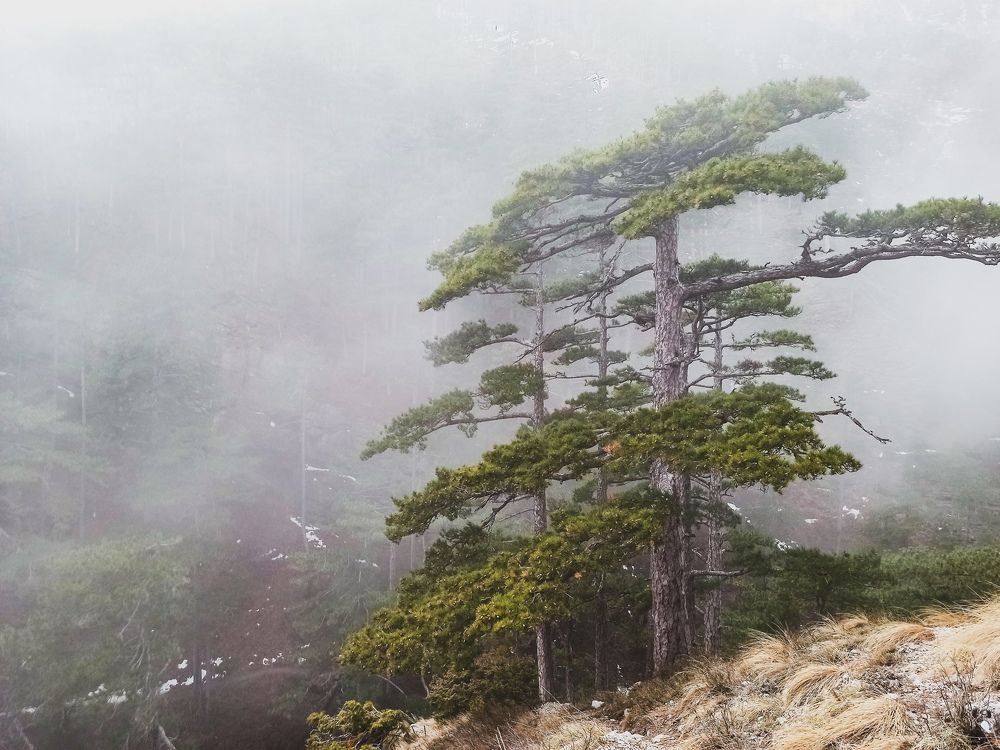 Photograph by Анна Корытина