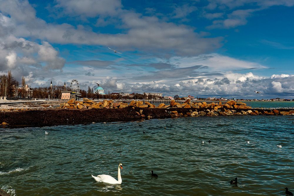 Photograph by Владимир Гамаюнов