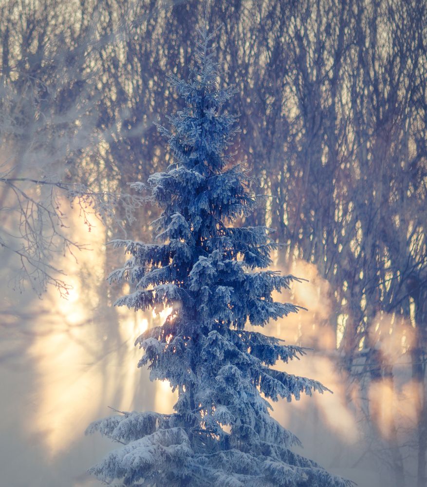 Photograph by Olga Yarovenko