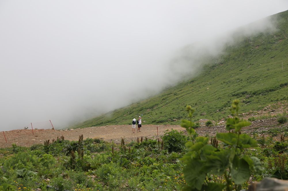 Photograph by Леонид Панасюк