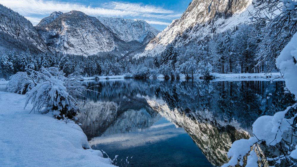 Фотография автора ROMAN Wieckowski