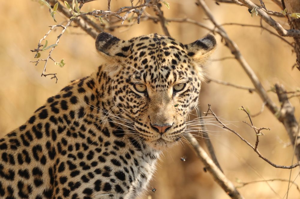 Photograph by Raquel Barao