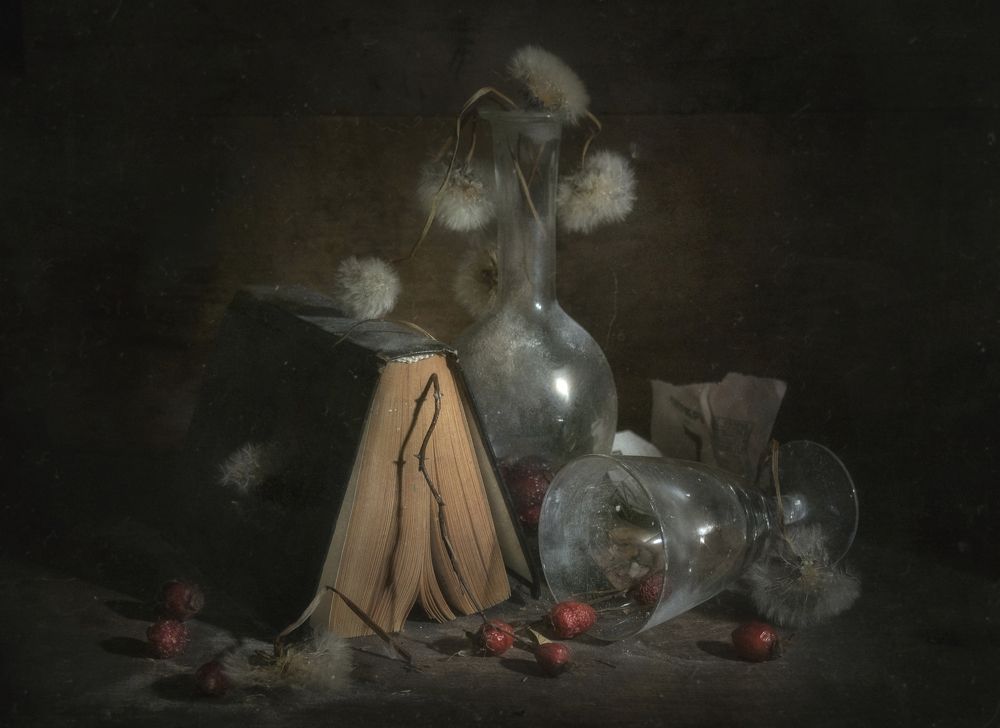 Прочитанное