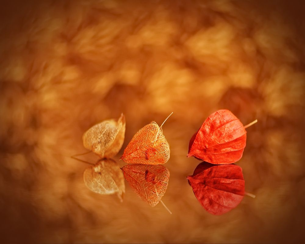 Photograph by Людмила Ефремова