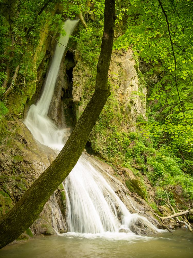 Photograph by Pucs Fongabe