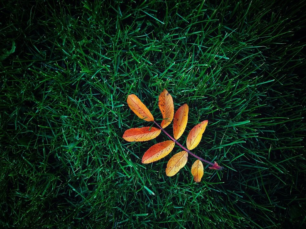 Photograph by Аряева Анна