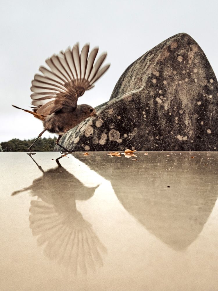 Photograph by Pedro Cunha