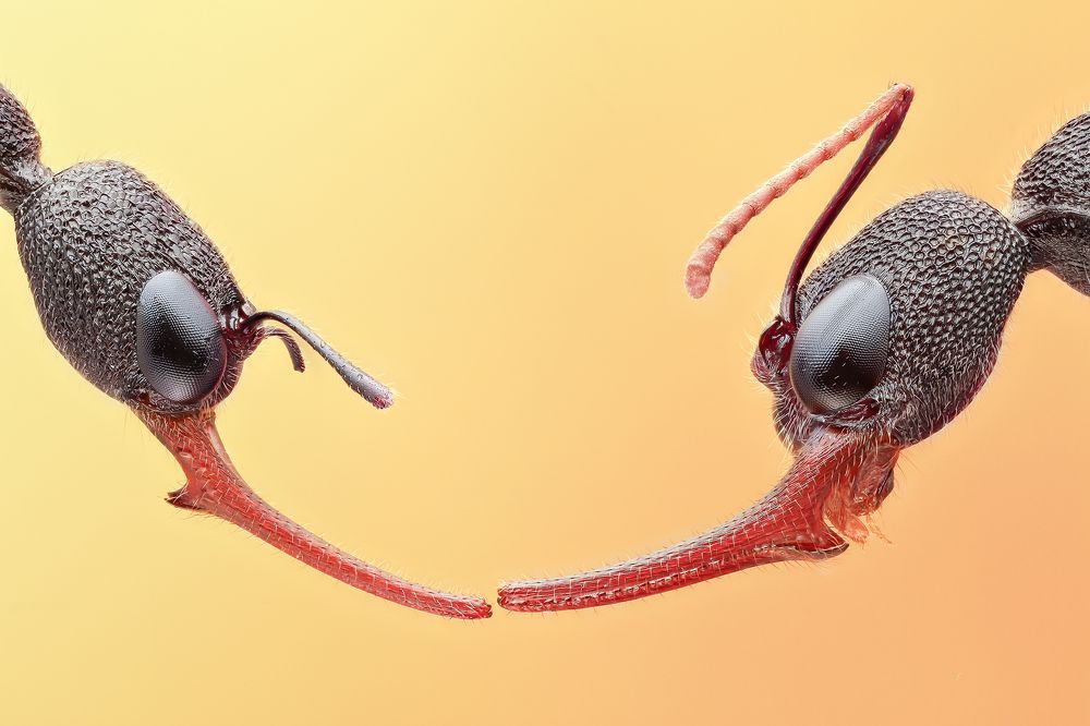 Photograph by ARUN MOHANRAJ