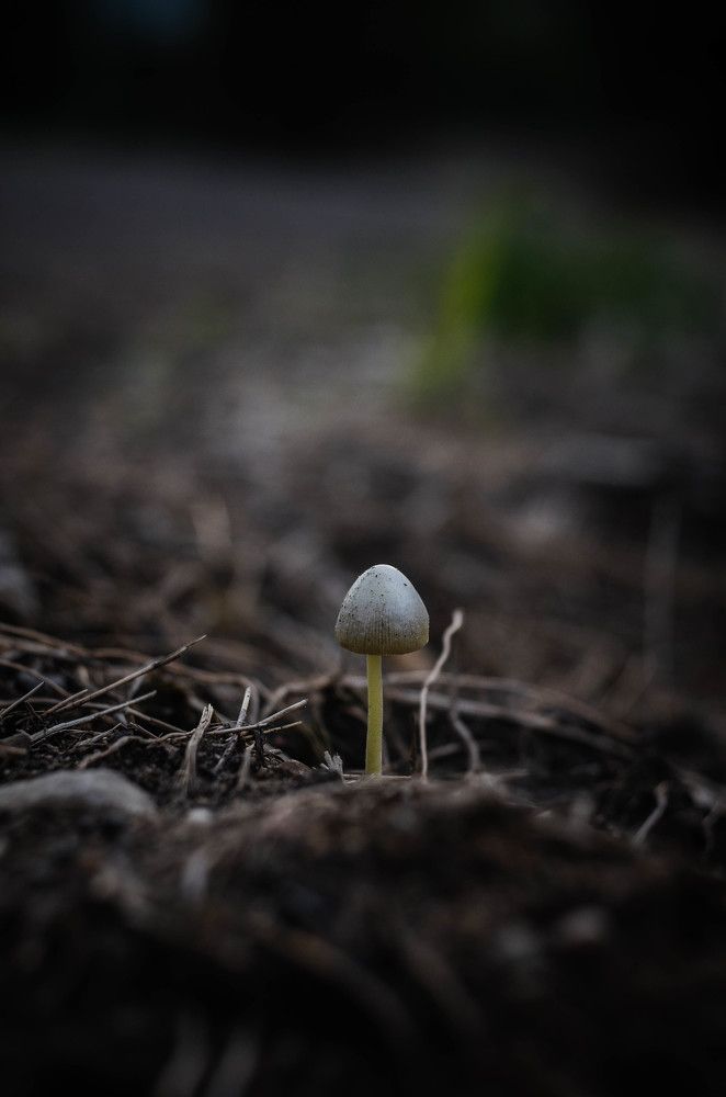 Photograph by Аряева Анна