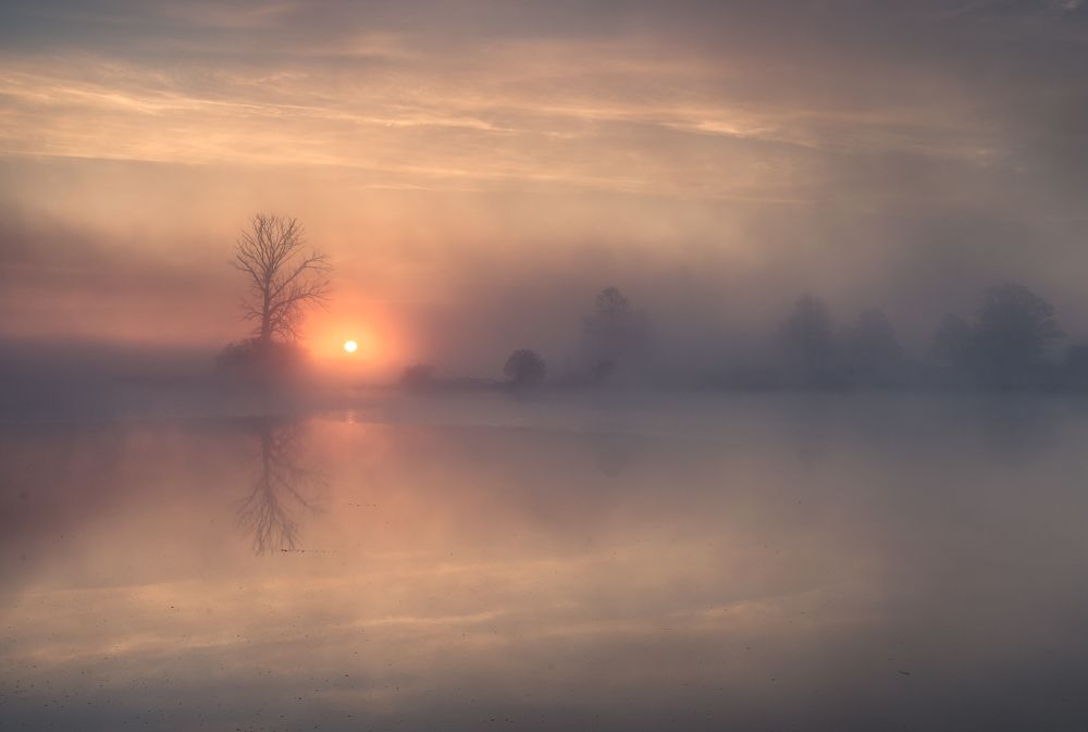 Photograph by Marcin Orszulak