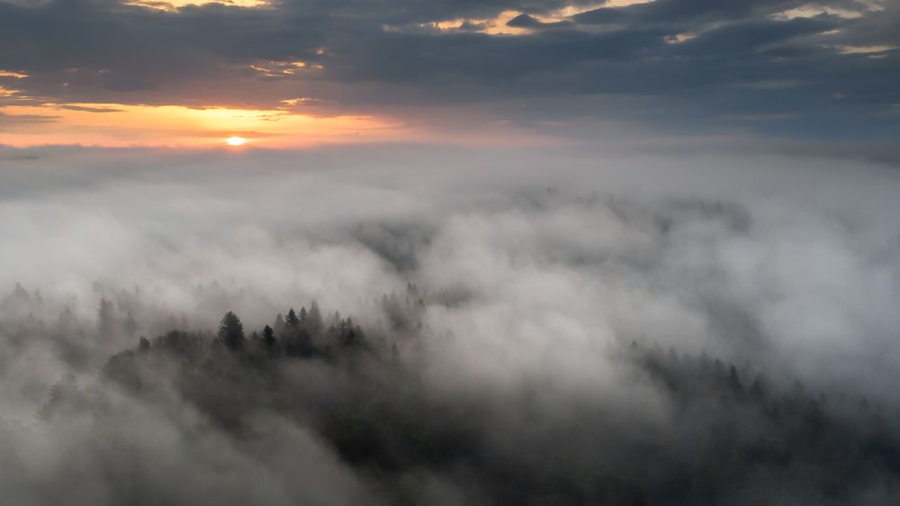 Photograph by Marcin Orszulak