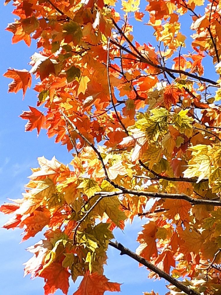 Photograph by Евгения Ульянова