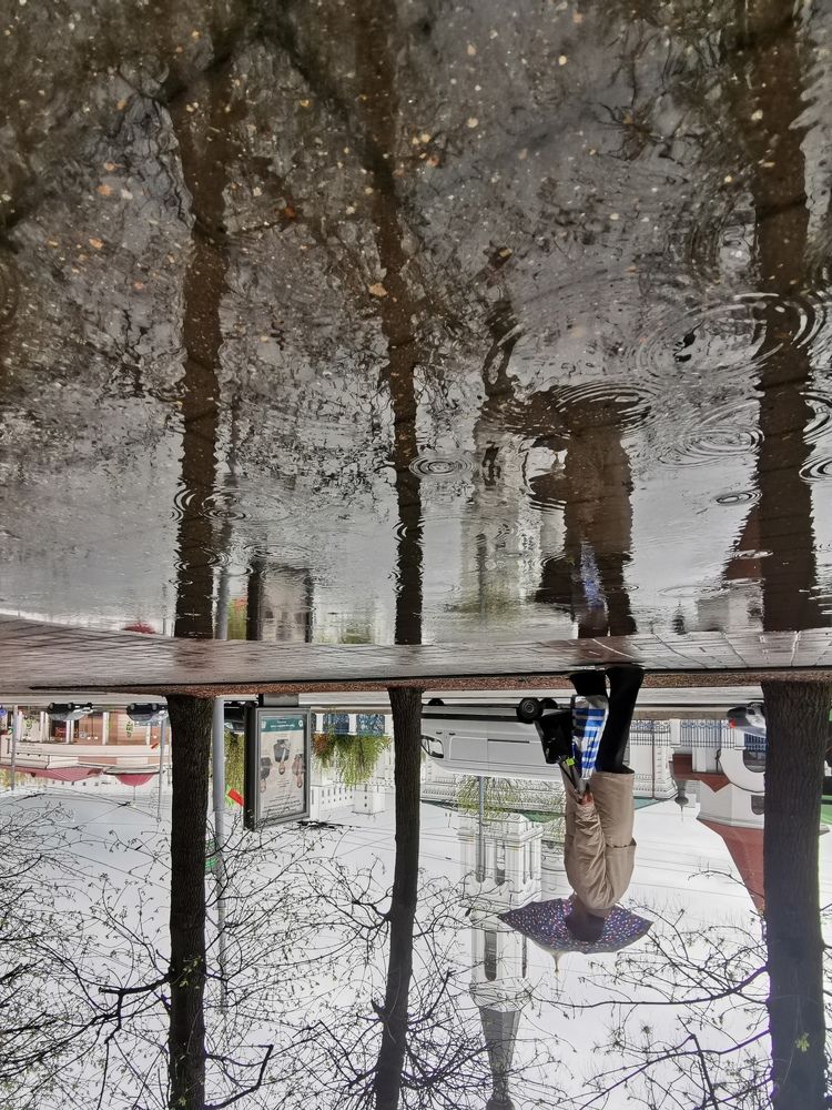 Photograph by Людмила Орловская