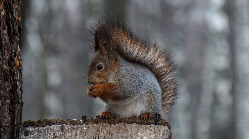 Photograph by Павел Каштанкин
