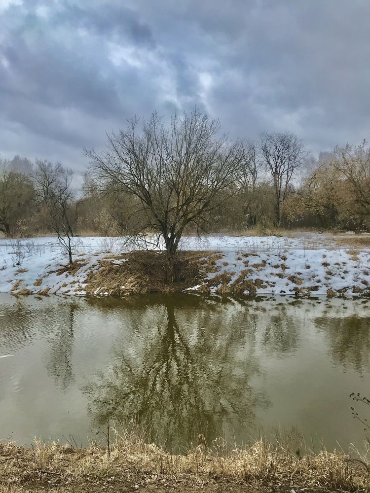 Photograph by Григорий Лыжин