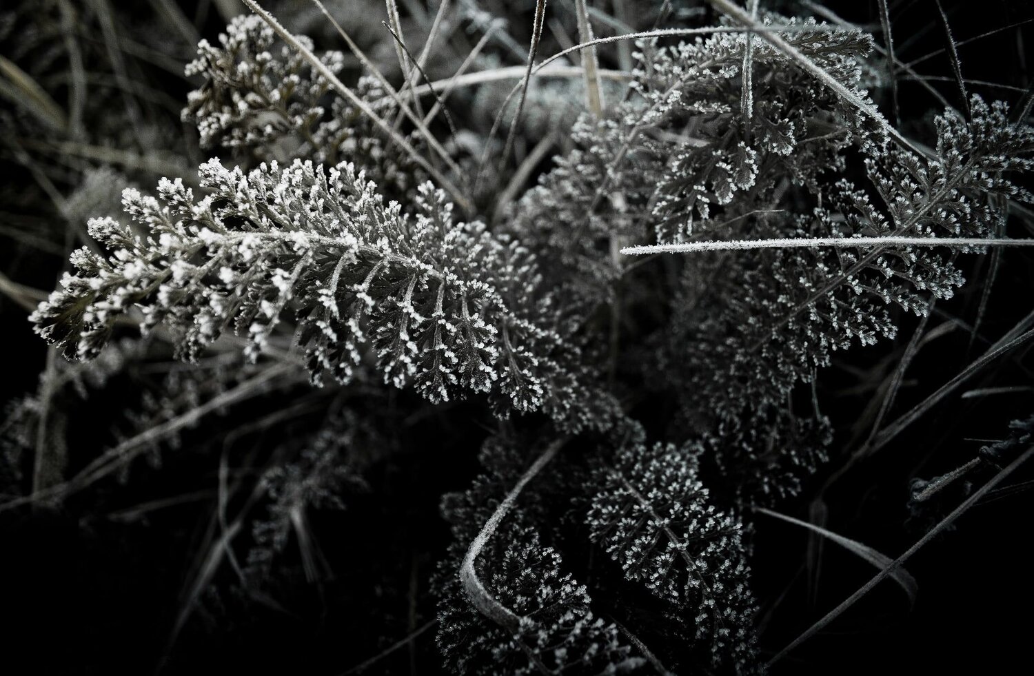 Photo #6856122