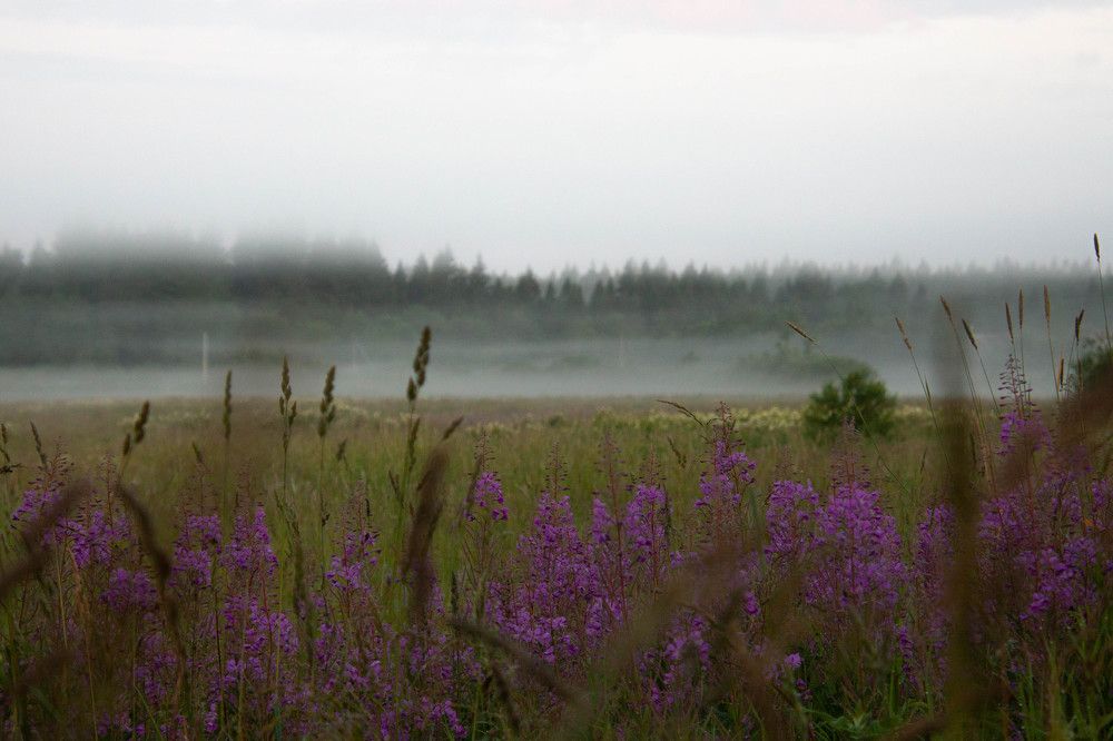 Photograph by Mihail Voronin