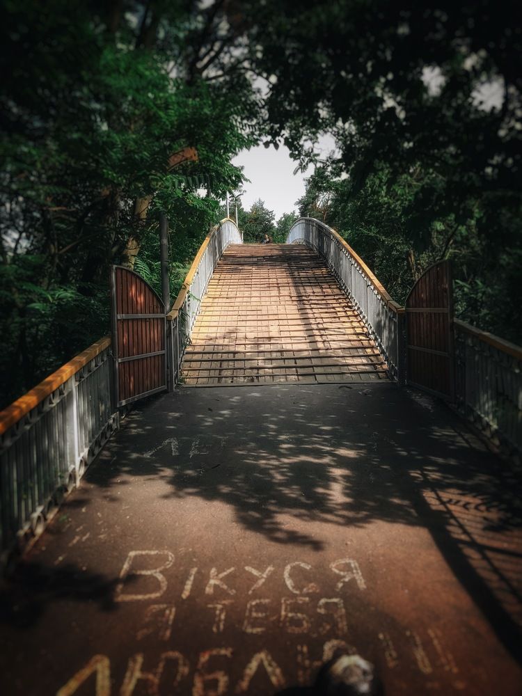 Photograph by Максим Жорж