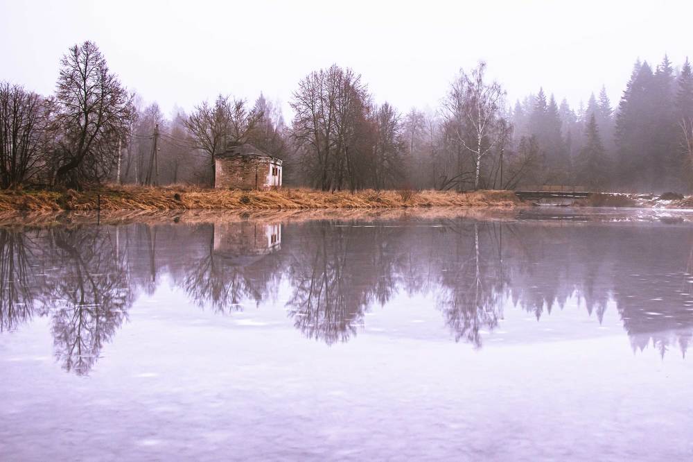 Photograph by Наталья Кузьмина