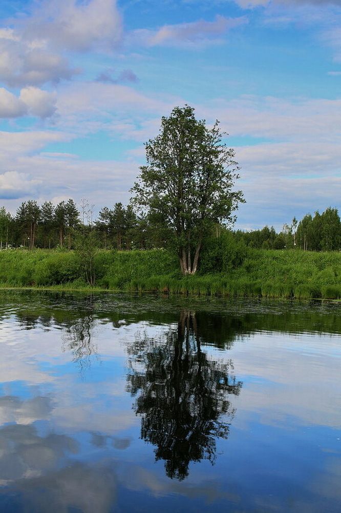 Фотография автора АЛЕКСАНДР ЦЫГЕЛЬНЮК
